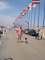 les drapeaux du port de hyeres