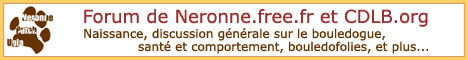 Forum Bouledogue de Neronne.fr et CDLB.org
