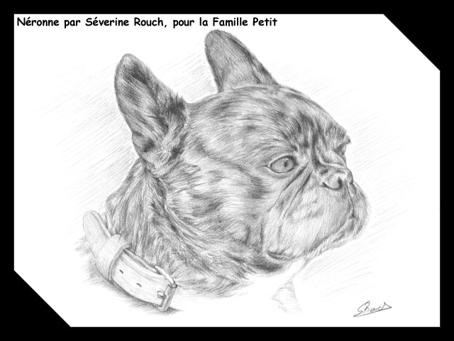 Dessin de Néronne par Séverine Rouch pour la Famille Petit