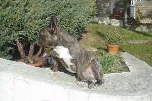 et bronzer au soleil sur le muret où je peux voir les gens passer dans la rue