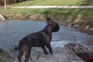 Tu crois quand même pas que je vais me jeter à l'eau ??