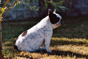 Petite méditation zen!