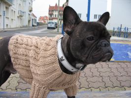 J'suis pas beau avec mon pull!!!