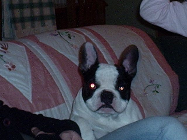 je suis un boubou aux yeux de braise hihihi je suis un boubou aux yeux de braise hihihi