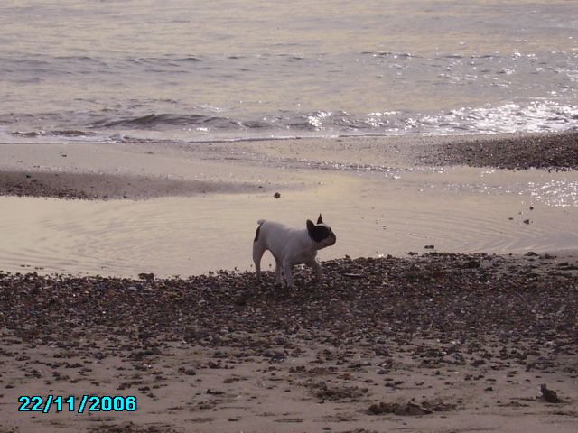 plage