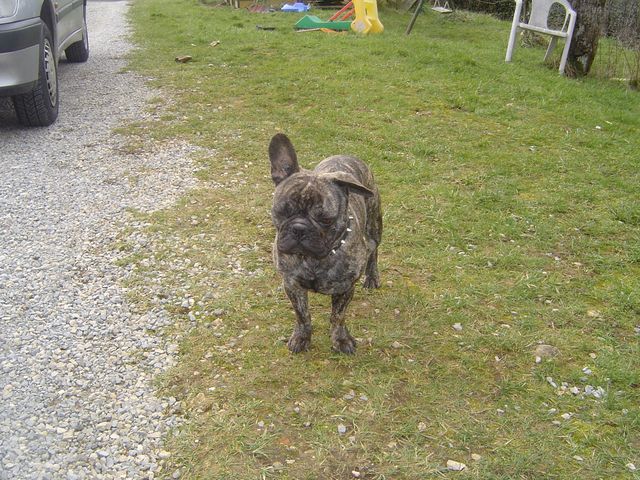 doudou 056