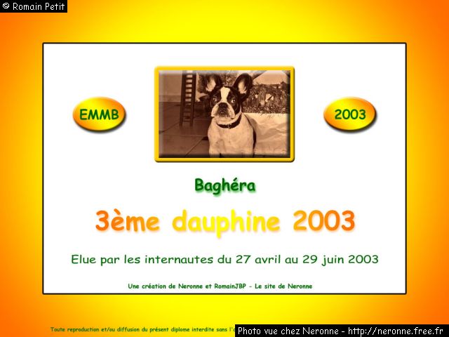 dip2003 baghera