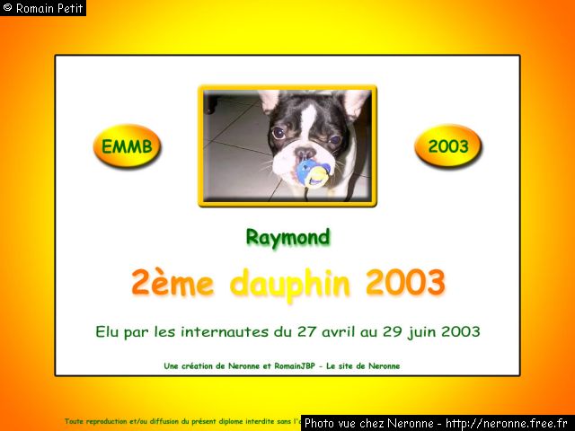 dip2003 raymond