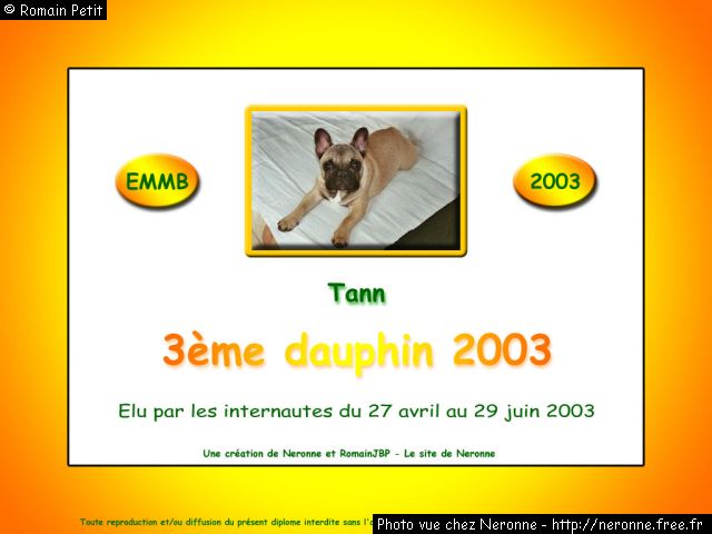 dip2003 tann