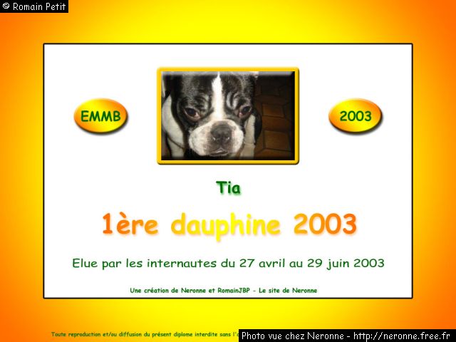 dip2003 tia