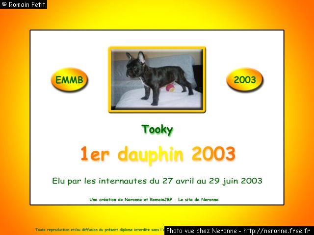 dip2003 tooky