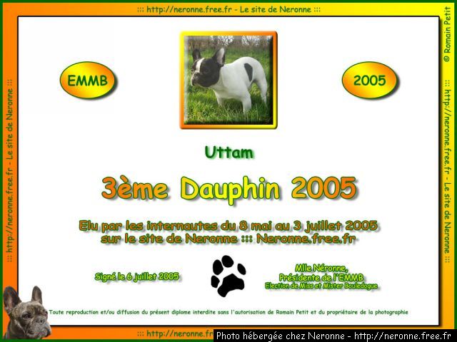 dip2005 uttam