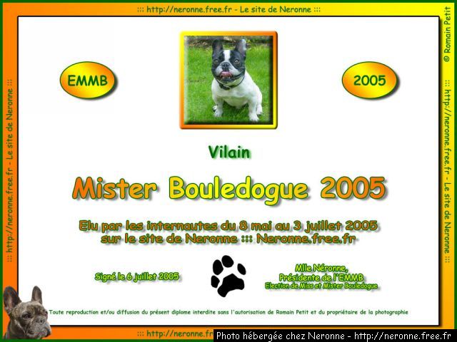 dip2005 vilain