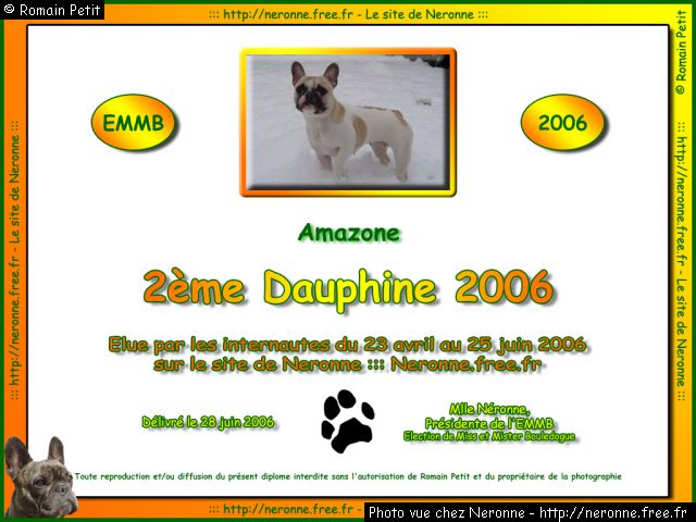 dip2006 amazone