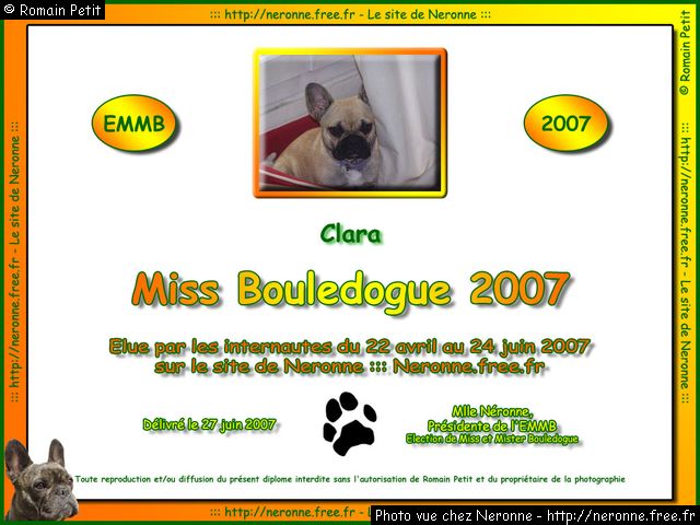 dip2007 clara