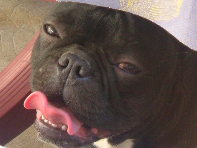 DSCF0187 DSCF0187