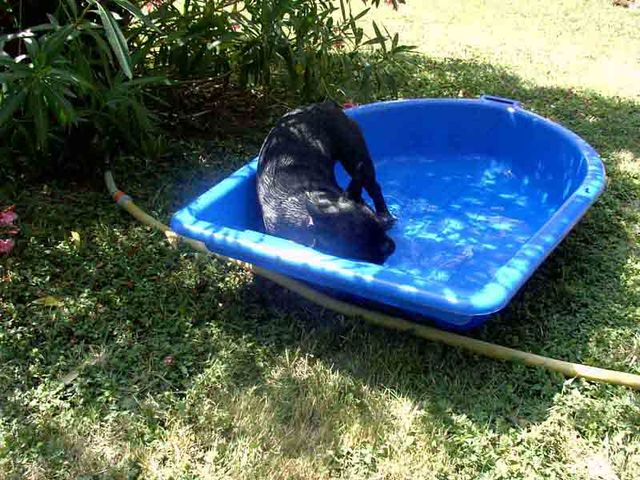 ma piscine rien qu a moi