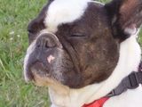 hum relaxation totale extase hum relaxation totale extase