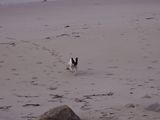 vive la playa vive la playa