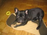 mon doudou a moi rien qu a moi