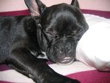 img 1581 img 1581
