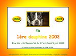 dip2003 tia