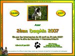 dip2007 azor