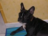 DSCN0311 001 DSCN0311 001