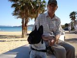 maurice et velours le lavandou maurice et velours le lavandou