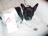 retour de soldes grosse fatigue 003 retour de soldes grosse fatigue 003