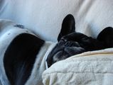 retour de st-tropez grosse fatigue 1 retour de st-tropez grosse fatigue 1