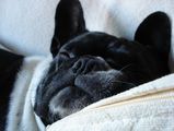 retour de st-tropez grosse fatigue 2 retour de st-tropez grosse fatigue 2