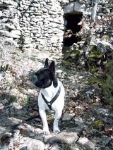 velours les bories 003 velours les bories 003