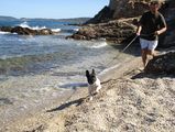 vite la course contre la vague vite la course contre la vague