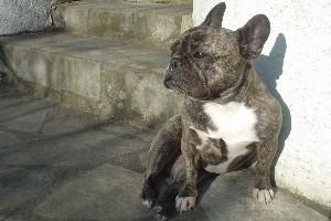 Neurone à 5 ans et 4 mois Neurone à 5 ans et 4 mois