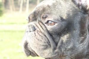 Patch à 3 ans Patch à 3 ans