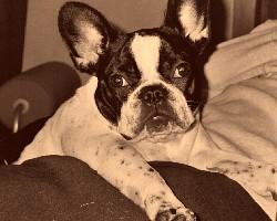 Pas de commentaire. Pas de commentaire.