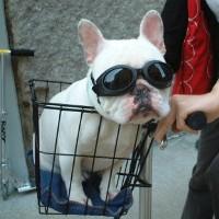 15 months, this was taken at central park, last autumn