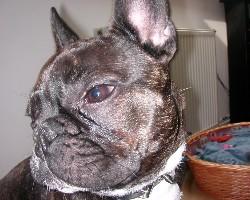 Pas de commentaire. Pas de commentaire.