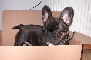 Pas de commentaire. Pas de commentaire.