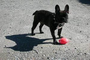 Pas de commentaire. Pas de commentaire.