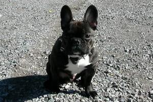 Pas de commentaire. Pas de commentaire.