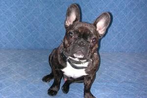 Pas de commentaire. Pas de commentaire.