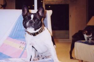 Le moment de détente de Changaï. Le moment de détente de Changaï.