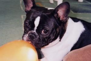 Pas de commentaire. Pas de commentaire.