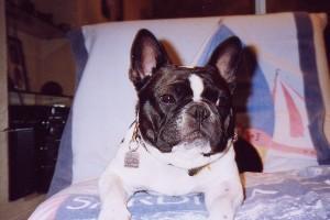 Pas de commentaire. Pas de commentaire.