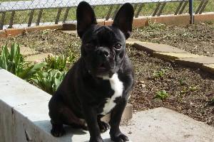 Arrghhh !!! Serres pas si foooort !!! ch'sais plus respirer mouaa !!!