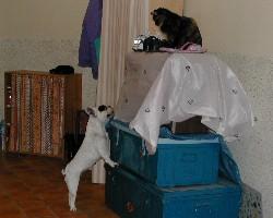 Nancibo qui pouponne... Nancibo qui pouponne...