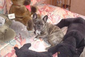 me promener dans le jardin, me promener dans le jardin,