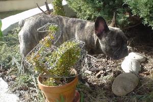 et bronzer au soleil sur le muret où je peux voir les gens passer dans la rue et bronzer au soleil sur le muret où je peux voir les gens passer dans la rue